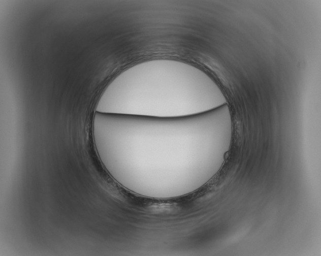 X0000111930499200908031121