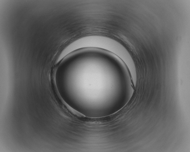 X0000111930500200908031121