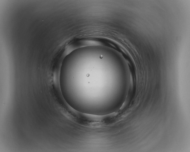 X0000111930505200908031121