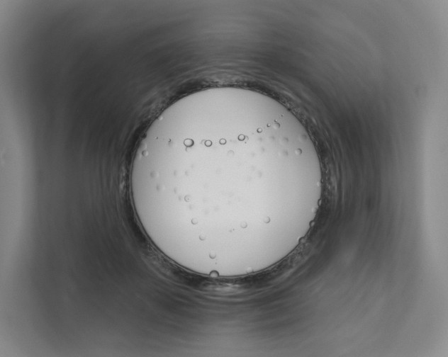 X0000111930507200908031121