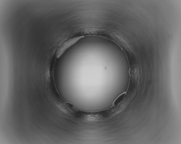 X0000111930508200908031121