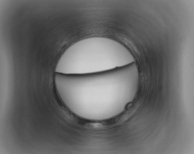 X0000111930509200908031121