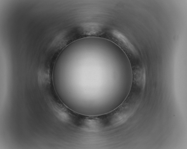 X0000111930510200908031121