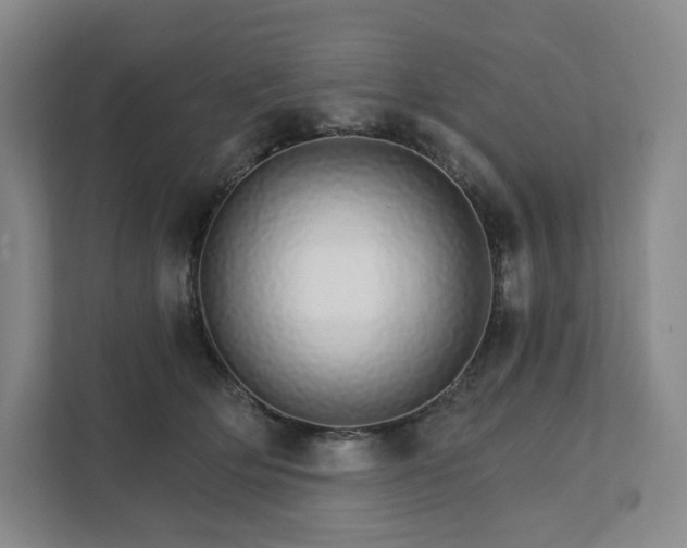 X0000111930514200908031121