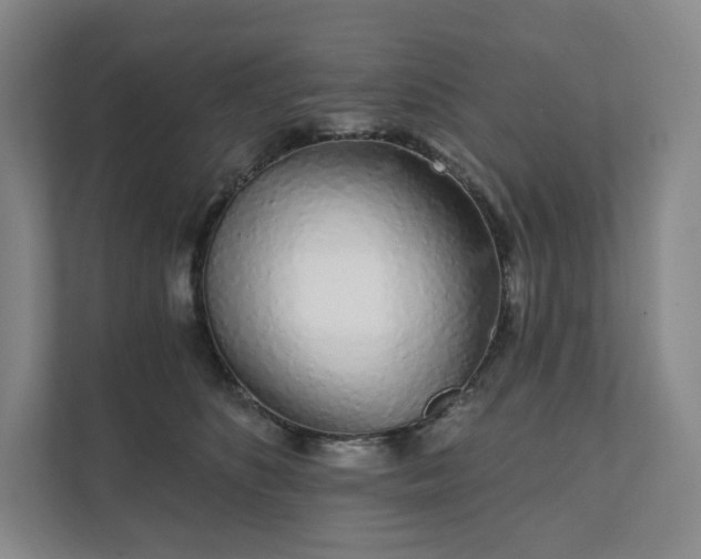 X0000111930516200908031121