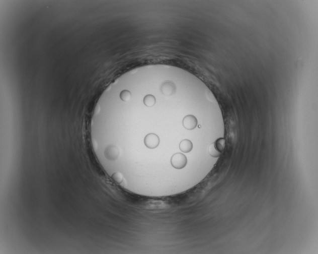 X0000111930519200908031120