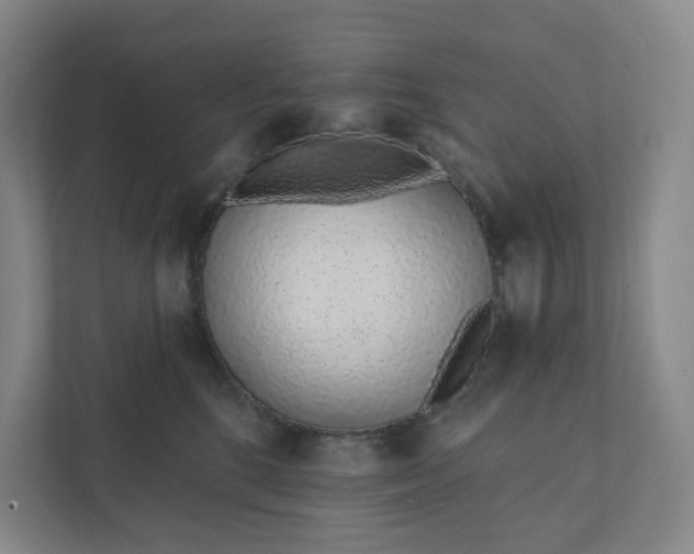 X0000111930520200908031120