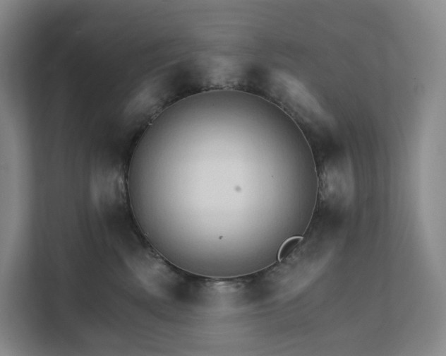 X0000111930522200908031120