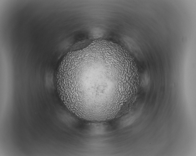 X0000111930524200908031120