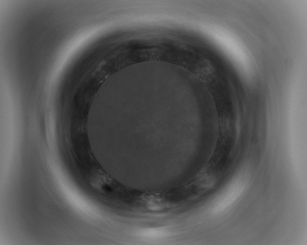 X0000111930526200908031120