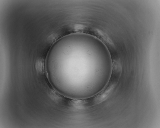 X0000111930527200908031120