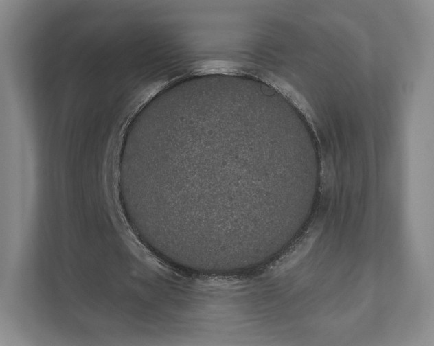 X0000111930529200908031120