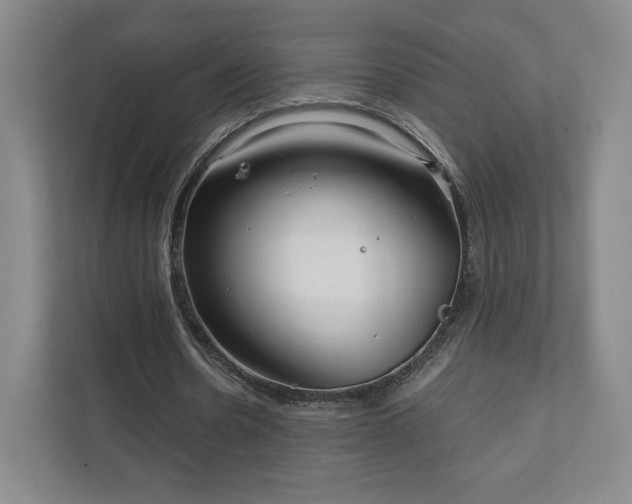 X0000111930530200908031120