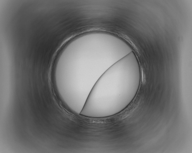 X0000111930531200908031120