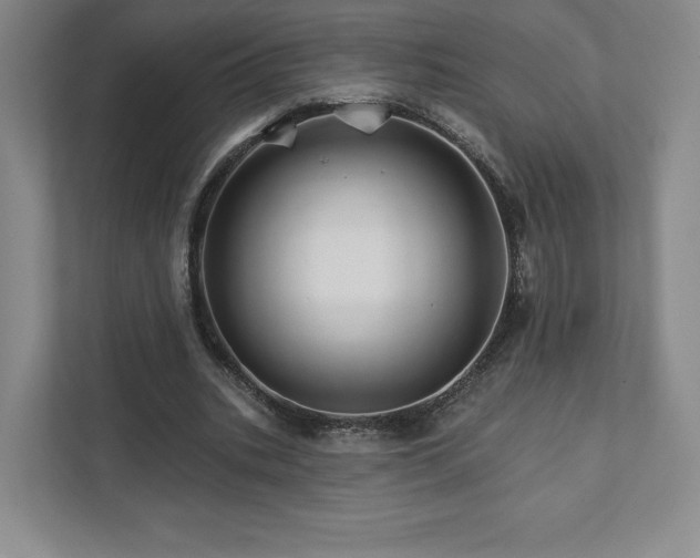 X0000111930535200908031120