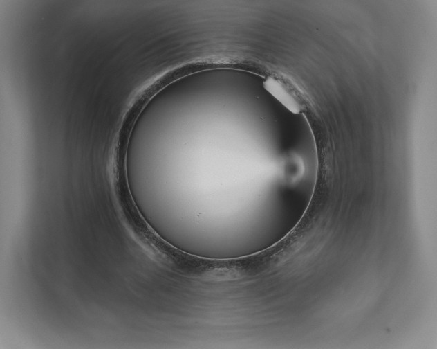 X0000111930536200908031120