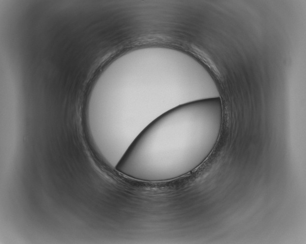 X0000111930538200908031120