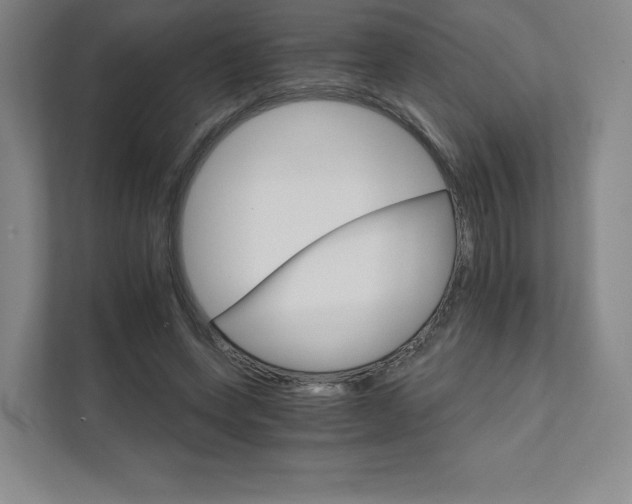 X0000111930543200908031120