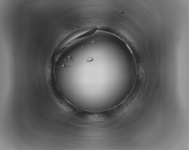 X0000111930544200908031120