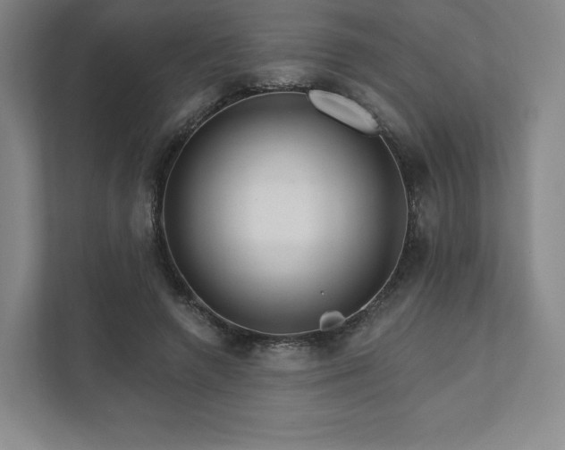 X0000111930546200908031120