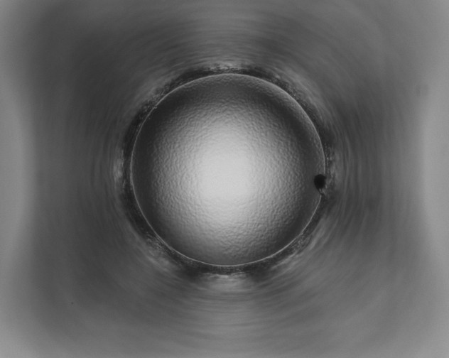 X0000111930548200908031120