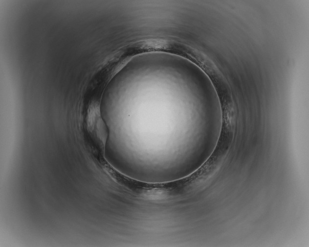 X0000111930551200908031120