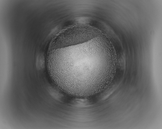 X0000111930552200908031120