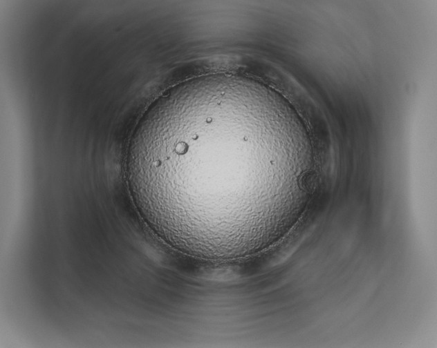 X0000111930553200908031120