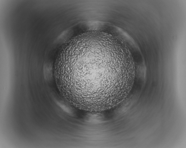 X0000111930557200908031120