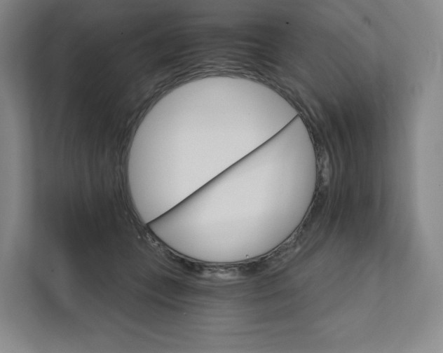 X0000111930559200908031120