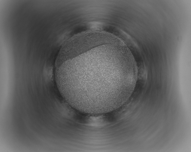 X0000111930560200908031120