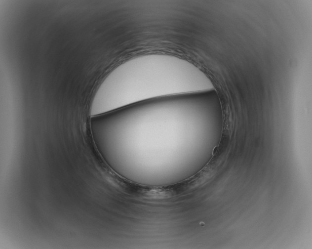 X0000111930562200908031120