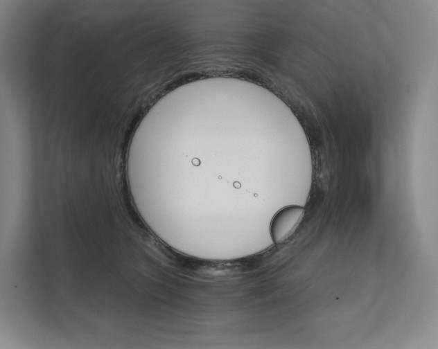 X0000111930563200908031120