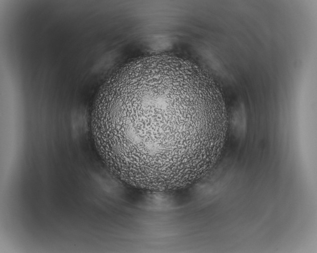 X0000111930565200908031120