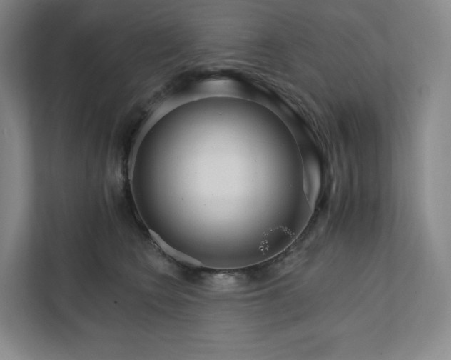 X0000111930566200908031120