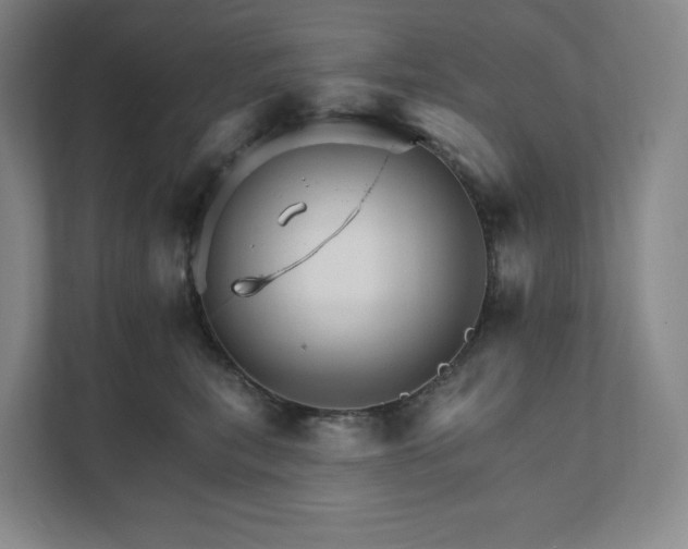 X0000111930567200908031120