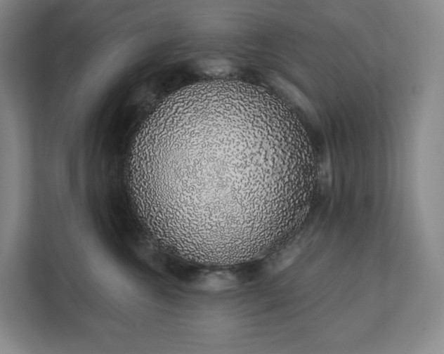 X0000111930572200908031120