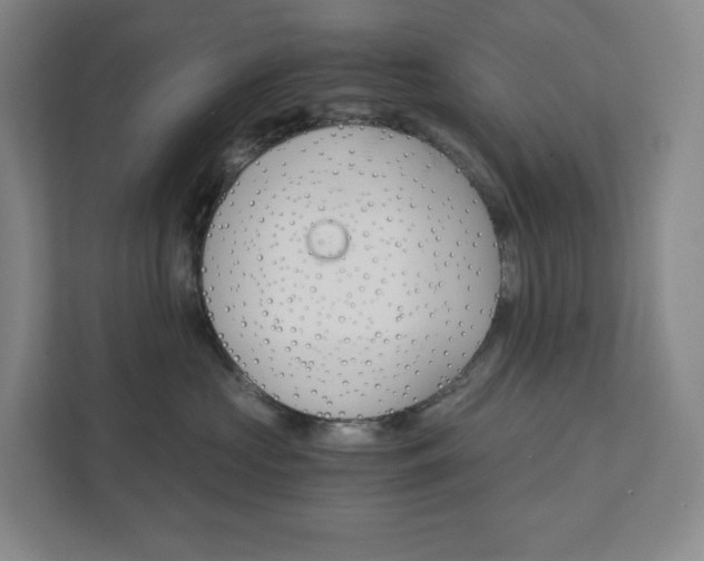 X0000111930573200908031120