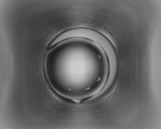 X0000111930577200908031120