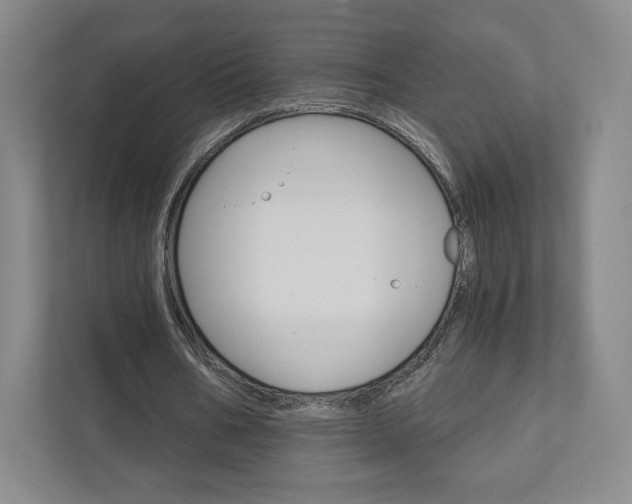 X0000111930578200908031120