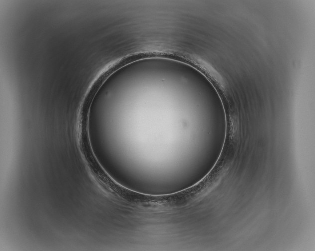 X0000111930580200908031120