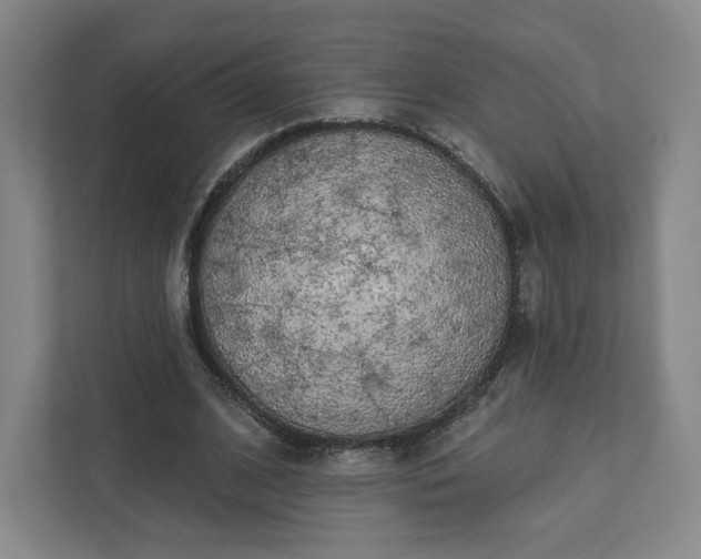 X0000111930584200908031120