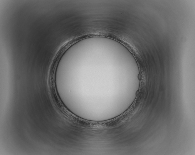 X0000111930587200908031120