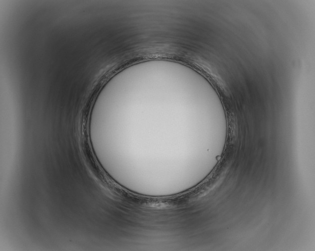 X0000111930590200908031120