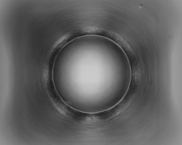 X0000111930591200908031120