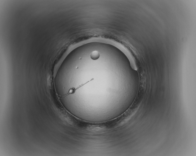 X0000111930597200908031119