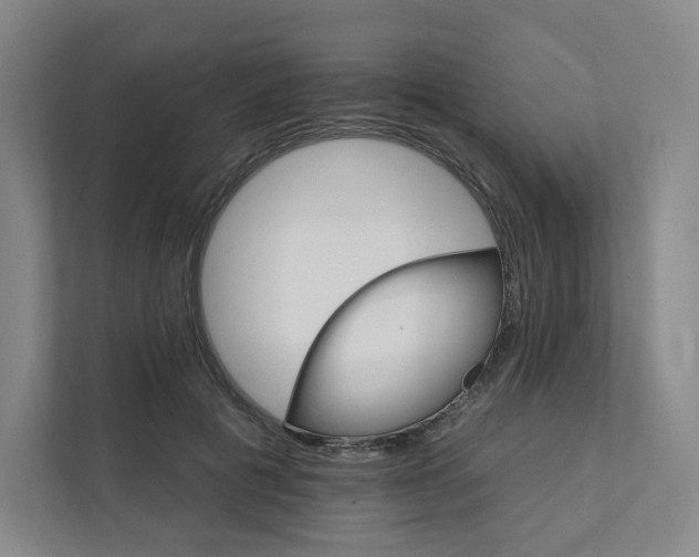 X0000111930601200908031119