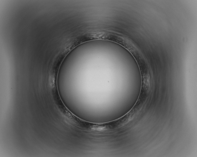 X0000111930602200908031119