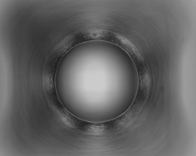 X0000111930606200908031119