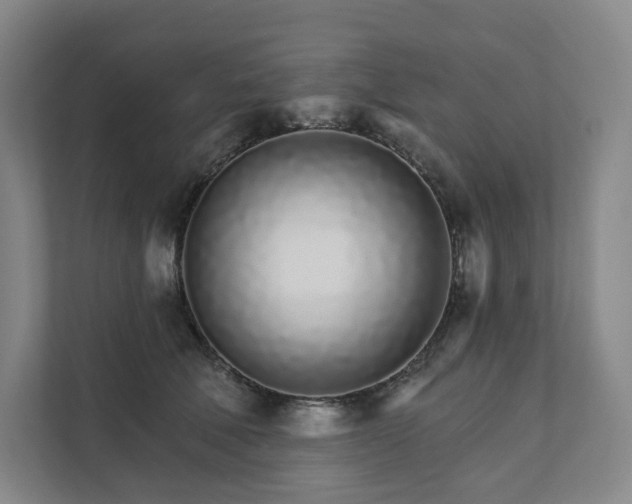 X0000111930610200908031119